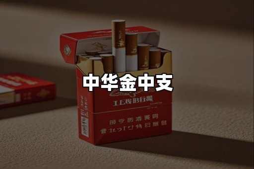 中华金中支